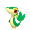 NIDOS POKEMON